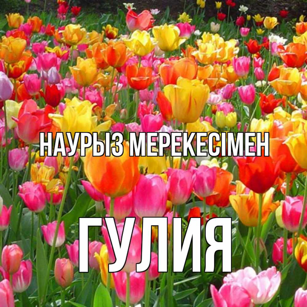 Күн сайын ашық хат с именем, Гулия Наурыз мерекесімен праздник весны наурыз 4 Онлайн тегін жүктеп алу тілектері бар керемет карта 