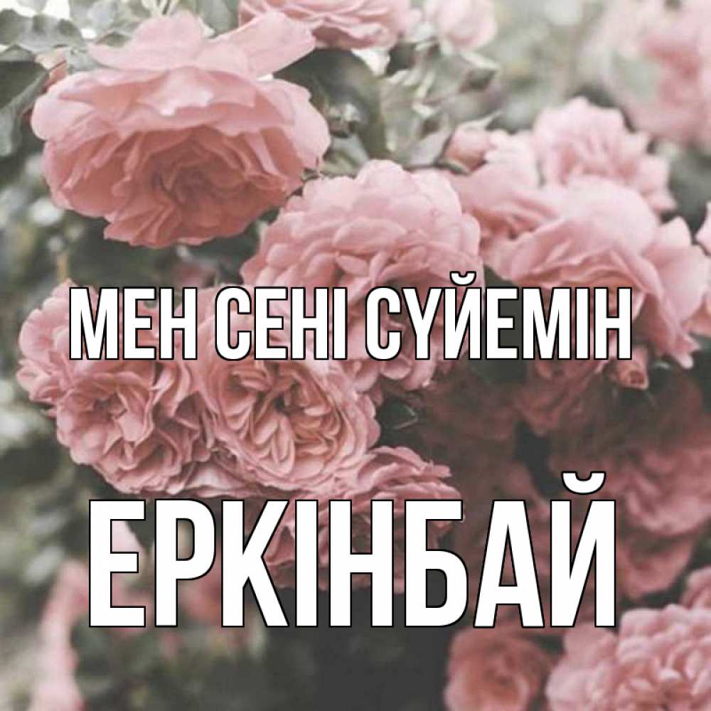 Күн сайын ашық хат с именем, Еркінбай Мен сені сүйемін розы 3 Онлайн тегін жүктеп алу тілектері бар керемет карта 