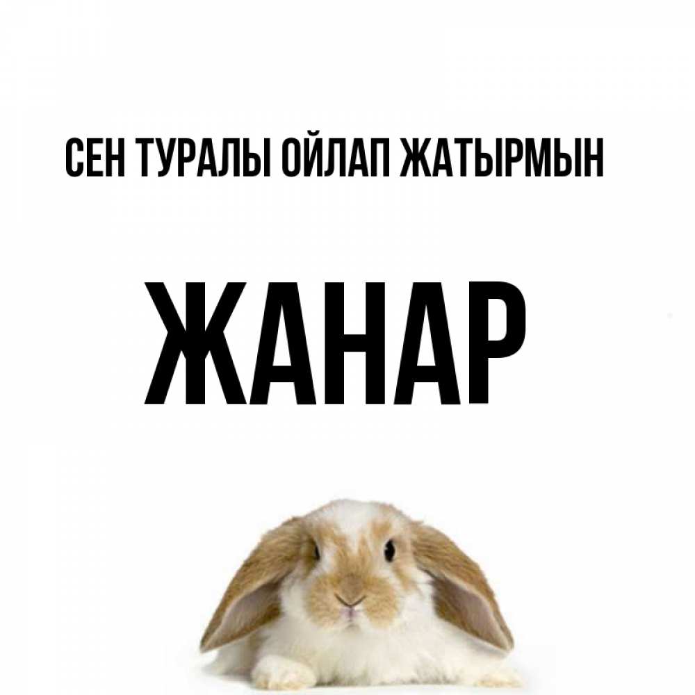 Күн сайын ашық хат с именем, ЖАНАР Сен туралы ойлап жатырмын подписать своими руками онлайн Онлайн тегін жүктеп алу тілектері бар керемет карта 