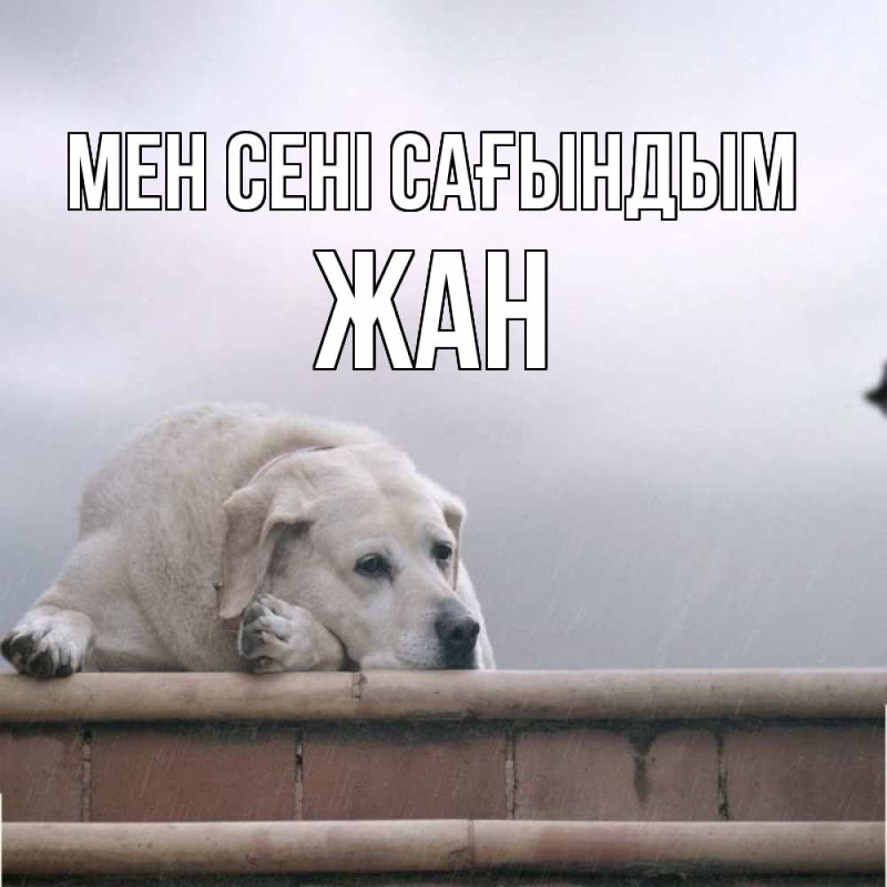 Күн сайын ашық хат с именем, Жан Мен сені сағындым ждет Онлайн тегін жүктеп алу тілектері бар керемет карта 