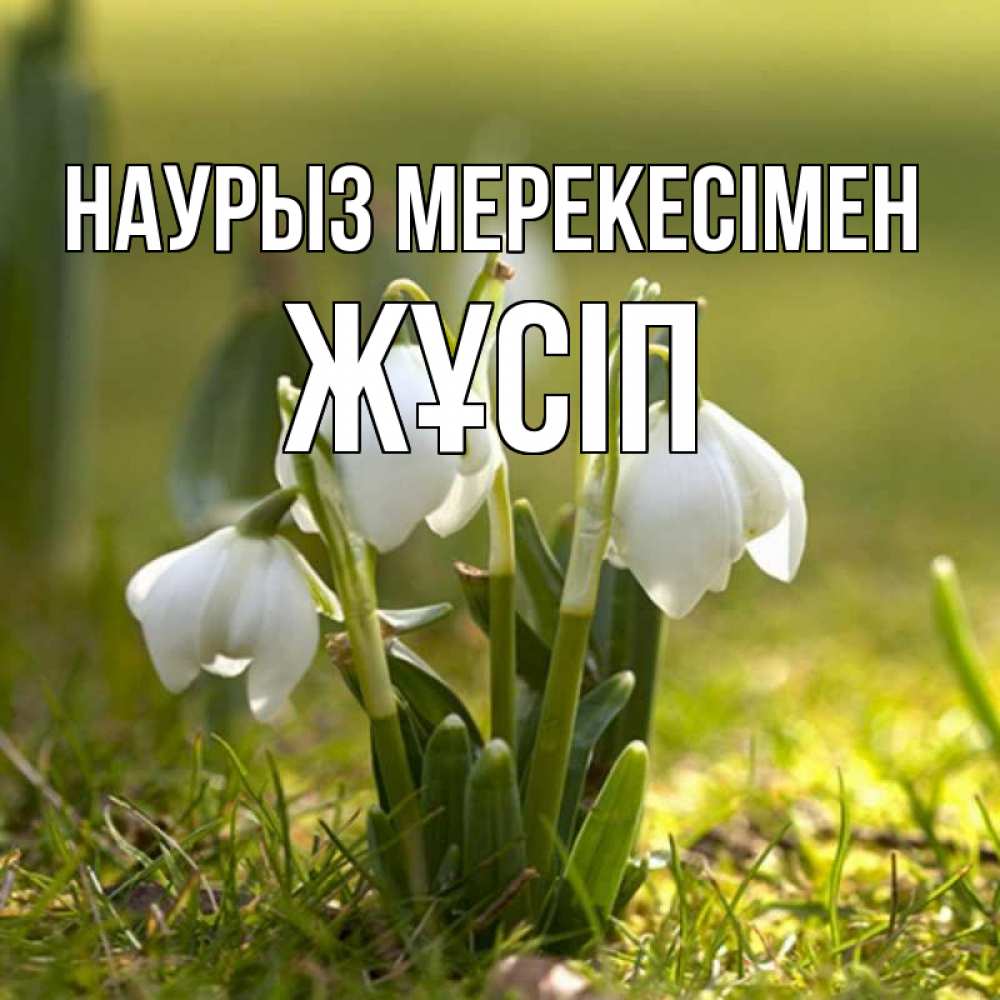 Күн сайын ашық хат с именем, Жұсіп Наурыз мерекесімен ранние цветы 2 Онлайн тегін жүктеп алу тілектері бар керемет карта 