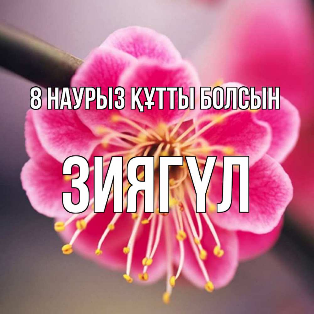 Күн сайын ашық хат с именем, ЗИЯГҮЛ 8 наурыз құтты болсын цветы Онлайн тегін жүктеп алу тілектері бар керемет карта 