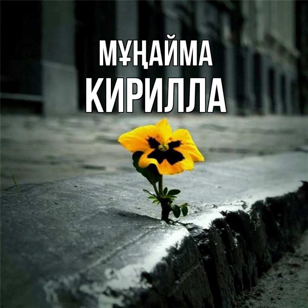 Күн сайын ашық хат с именем, Кирилла Мұңайма не сдавайся Онлайн тегін жүктеп алу тілектері бар керемет карта 