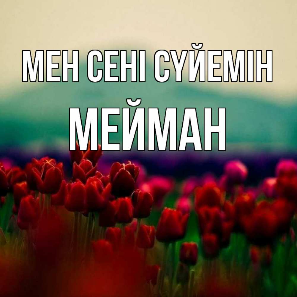 Күн сайын ашық хат с именем, МЕЙМАН Мен сені сүйемін тюльпаны 4 Онлайн тегін жүктеп алу тілектері бар керемет карта 