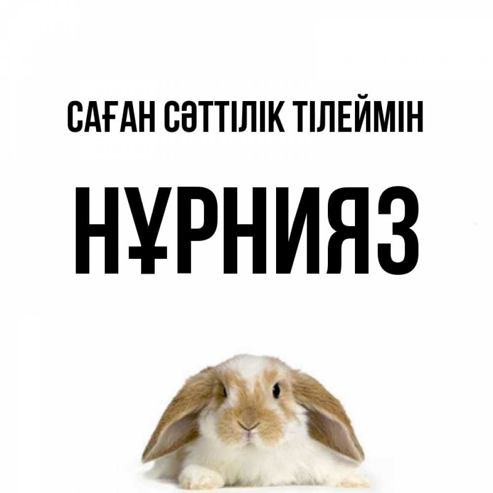 Күн сайын ашық хат с именем, НҰРНИЯЗ Саған сәттілік тілеймін открытки с произвольным текстом который можно вставить в открытку и создать ее самостоятельно бесплатно онлайн Онлайн тегін жүктеп алу тілектері бар керемет карта 