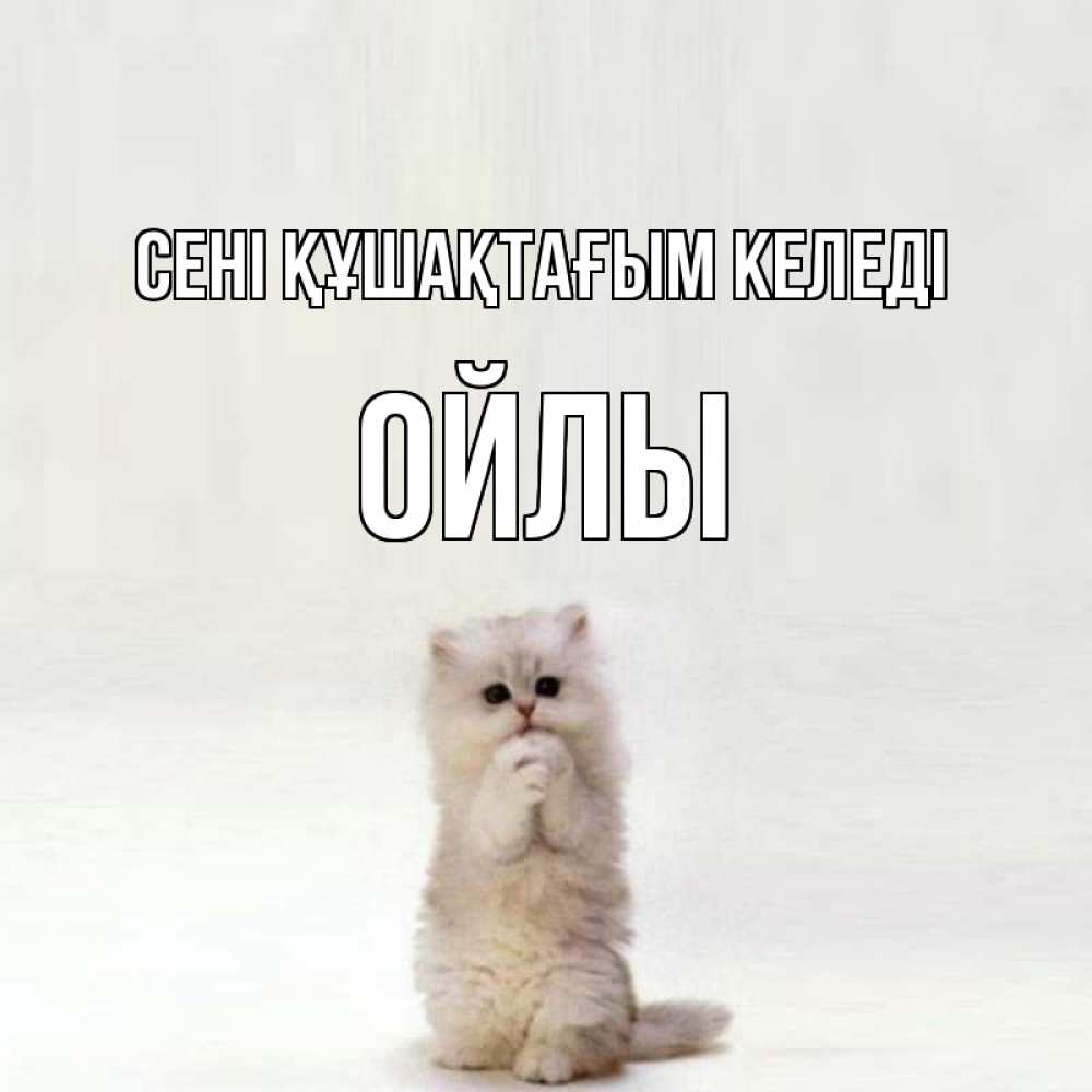 Күн сайын ашық хат с именем, ОЙЛЫ сені құшақтағым келеді открытки с креативными подписями Онлайн тегін жүктеп алу тілектері бар керемет карта 