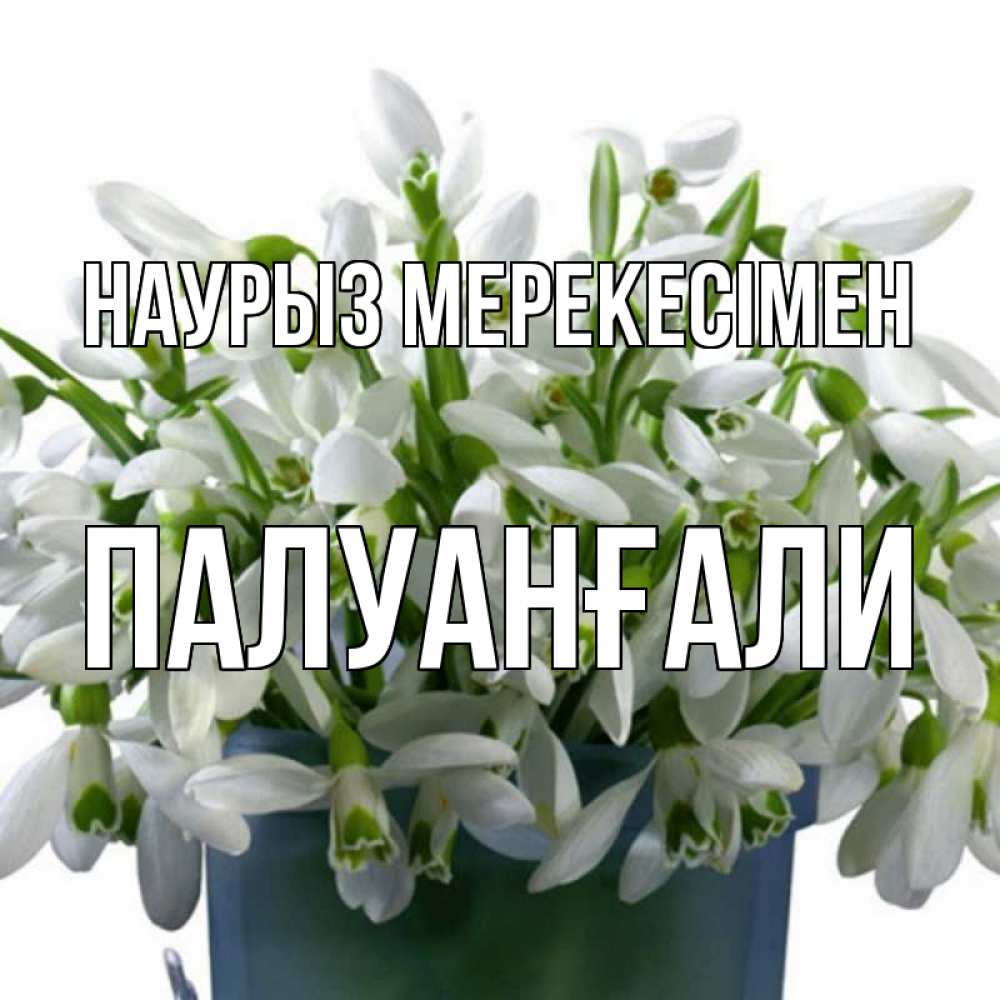 Күн сайын ашық хат с именем, ПАЛУАНҒАЛИ Наурыз мерекесімен цветы к наурызу новый год в Казахстане Онлайн тегін жүктеп алу тілектері бар керемет карта 