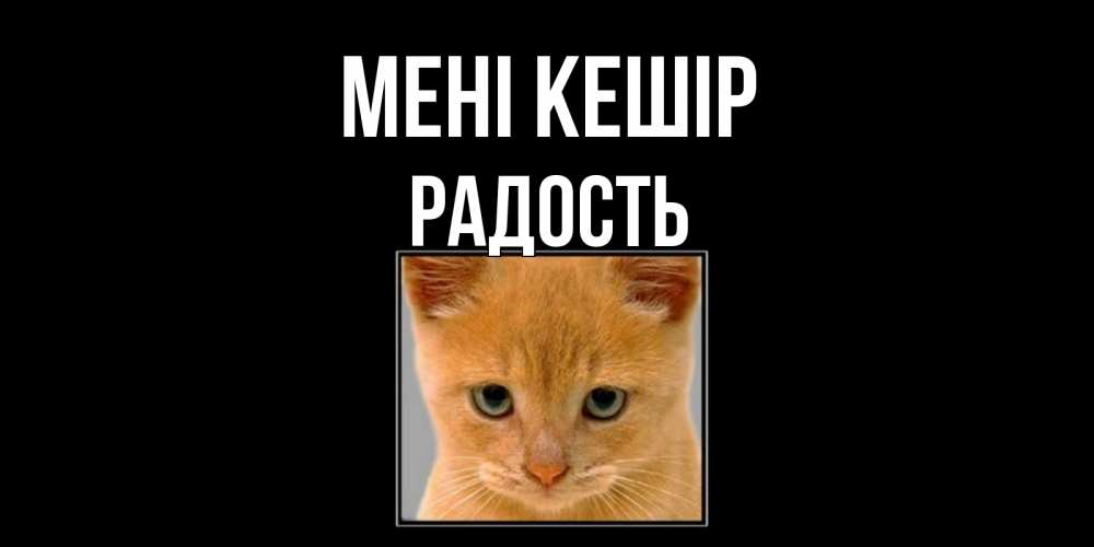 Күн сайын ашық хат с именем, Радость Мені кешір рыжий грустный кот просит прощения Онлайн тегін жүктеп алу тілектері бар керемет карта 