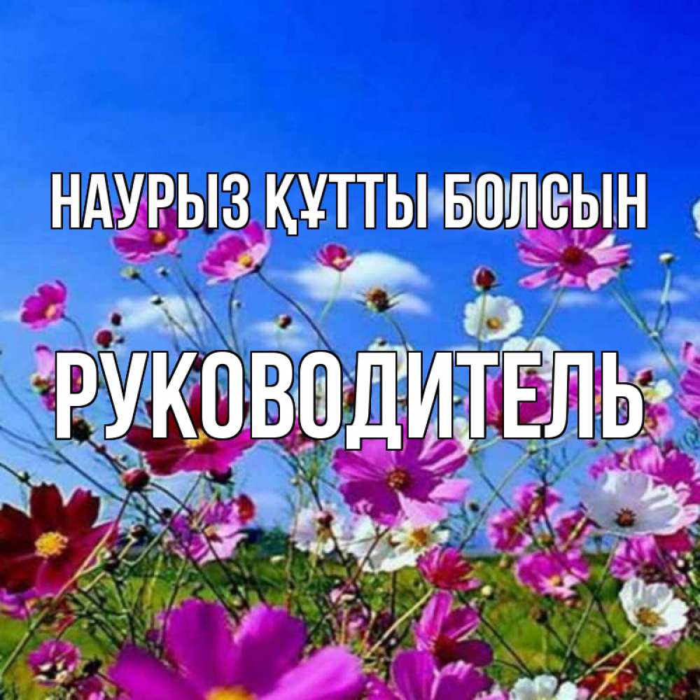 Күн сайын ашық хат с именем, Руководитель Наурыз құтты болсын цветы Онлайн тегін жүктеп алу тілектері бар керемет карта 