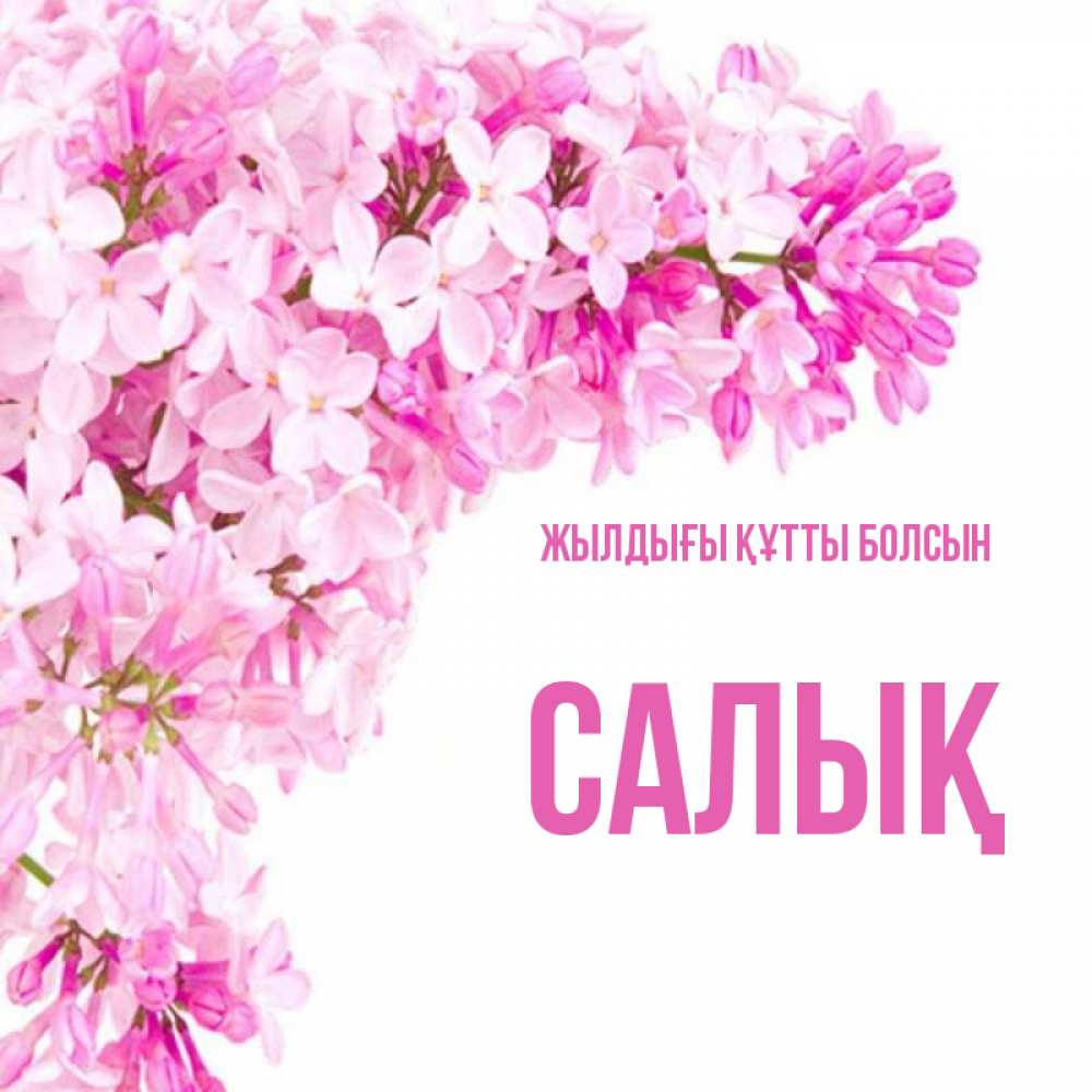 Күн сайын ашық хат с именем, САЛЫҚ Жылдығы құтты болсын Сирень на белом фоне Онлайн тегін жүктеп алу тілектері бар керемет карта 