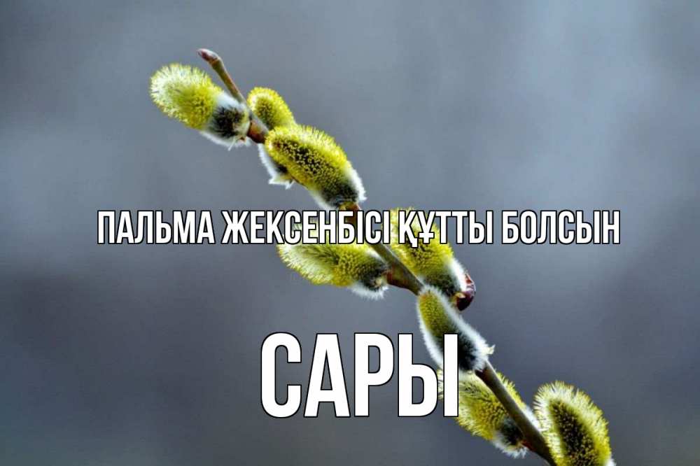 Күн сайын ашық хат с именем, САРЫ Пальма жексенбісі құтты болсын верба Онлайн тегін жүктеп алу тілектері бар керемет карта 