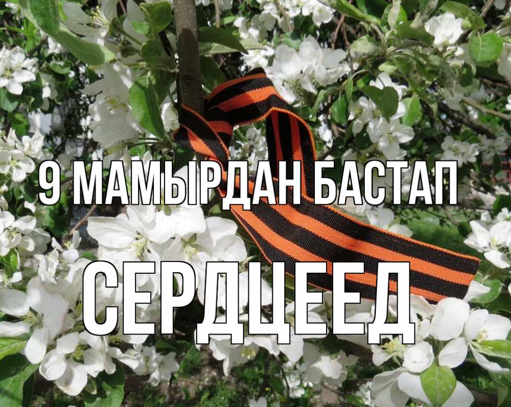 Күн сайын ашық хат с именем, Сердцеед 9 мамырдан бастап 9 мая Онлайн тегін жүктеп алу тілектері бар керемет карта 