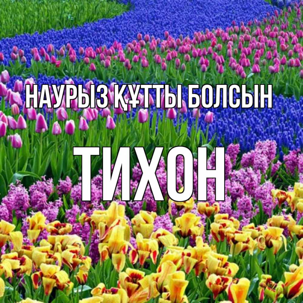 Күн сайын ашық хат с именем, Тихон Наурыз құтты болсын цветы Онлайн тегін жүктеп алу тілектері бар керемет карта 