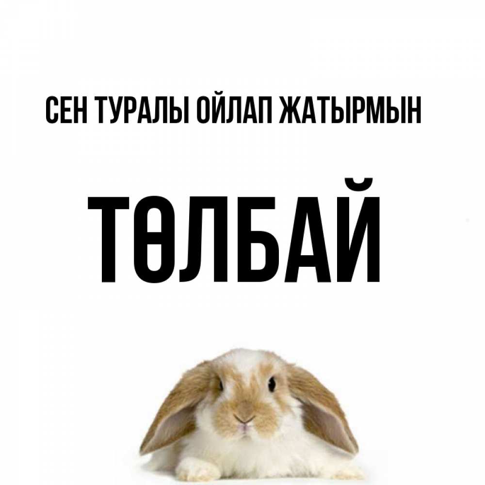 Күн сайын ашық хат с именем, ТӨЛБАЙ Сен туралы ойлап жатырмын подписать своими руками онлайн Онлайн тегін жүктеп алу тілектері бар керемет карта 
