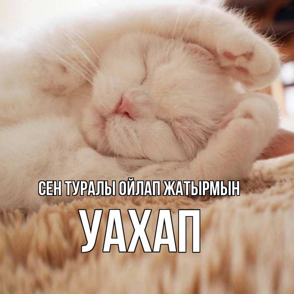 Күн сайын ашық хат с именем, УАХАП Сен туралы ойлап жатырмын для любимой девушки милота Онлайн тегін жүктеп алу тілектері бар керемет карта 