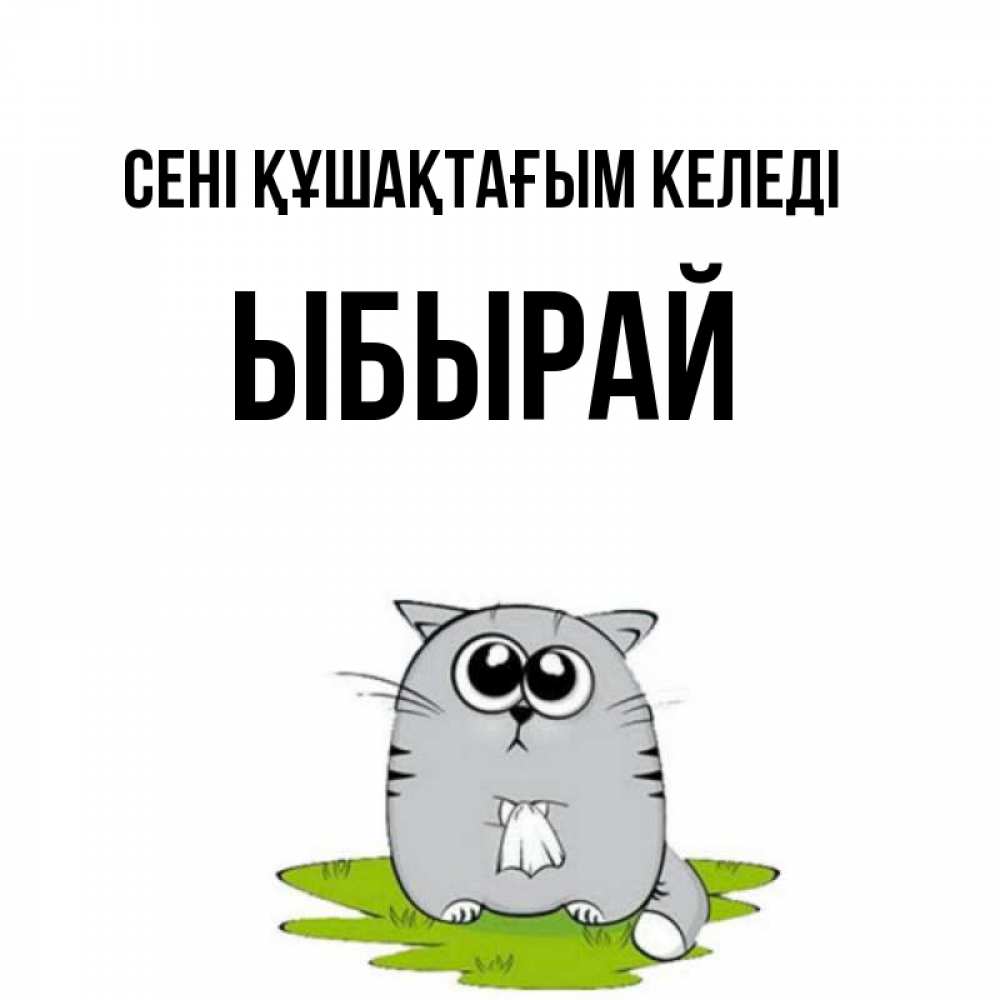Күн сайын ашық хат с именем, ЫБЫРАЙ сені құшақтағым келеді котик теребит платочек сидя на травке Онлайн тегін жүктеп алу тілектері бар керемет карта 
