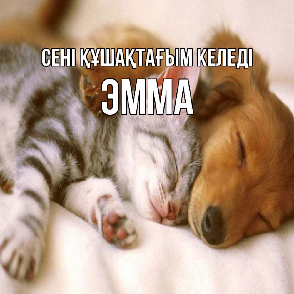 Күн сайын ашық хат с именем, Эмма сені құшақтағым келеді пес и котенок Онлайн тегін жүктеп алу тілектері бар керемет карта 