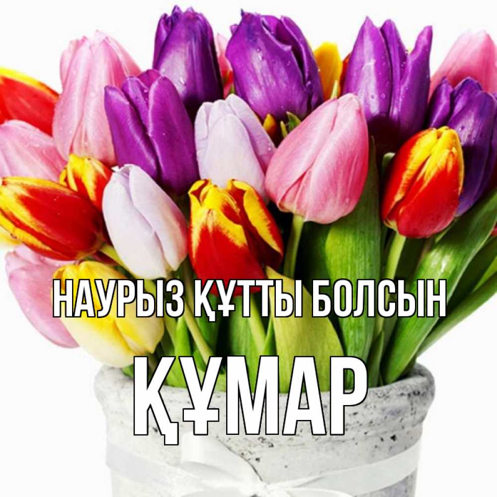 Күн сайын ашық хат с именем, ҚҰМАР Наурыз құтты болсын букет Онлайн тегін жүктеп алу тілектері бар керемет карта 