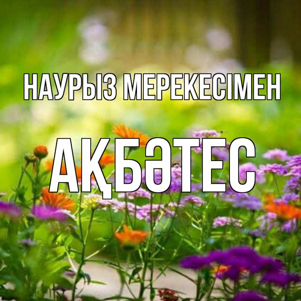 Күн сайын ашық хат с именем, АҚБӘТЕС Наурыз мерекесімен цветы Онлайн тегін жүктеп алу тілектері бар керемет карта 