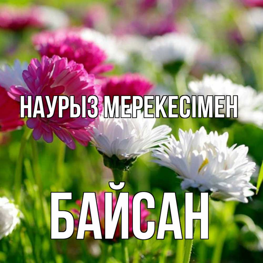 Күн сайын ашық хат с именем, Байсан Наурыз мерекесімен праздник весны наурыз красота Онлайн тегін жүктеп алу тілектері бар керемет карта 
