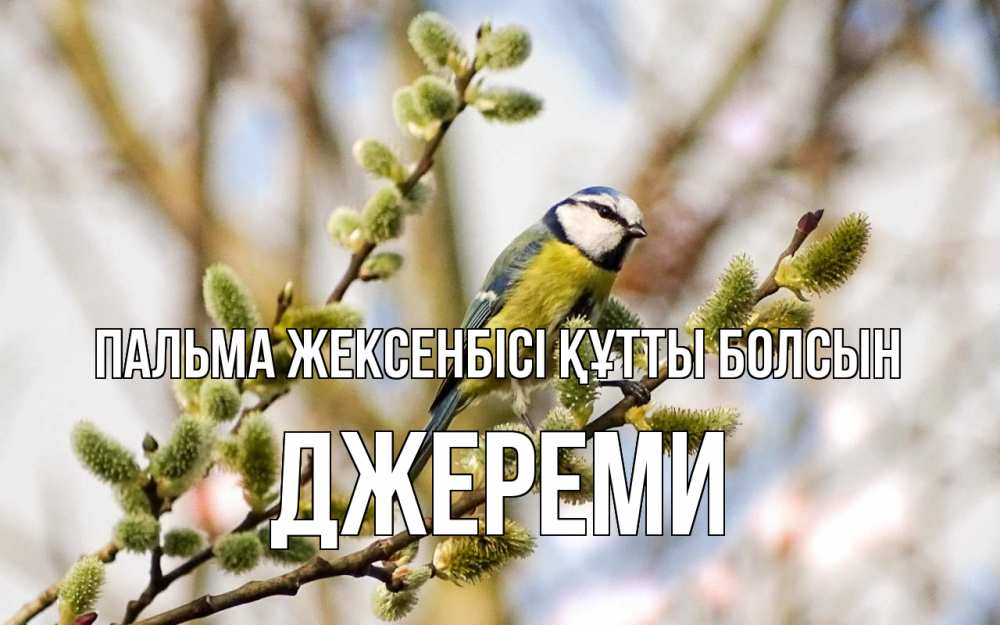 Күн сайын ашық хат с именем, Джереми Пальма жексенбісі құтты болсын верба Онлайн тегін жүктеп алу тілектері бар керемет карта 