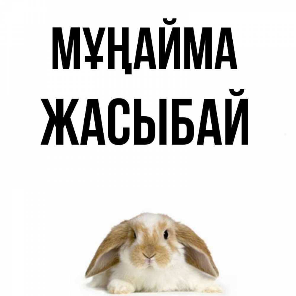 Күн сайын ашық хат с именем, Жасыбай Мұңайма коричнево белый заяц с большими ушками Онлайн тегін жүктеп алу тілектері бар керемет карта 