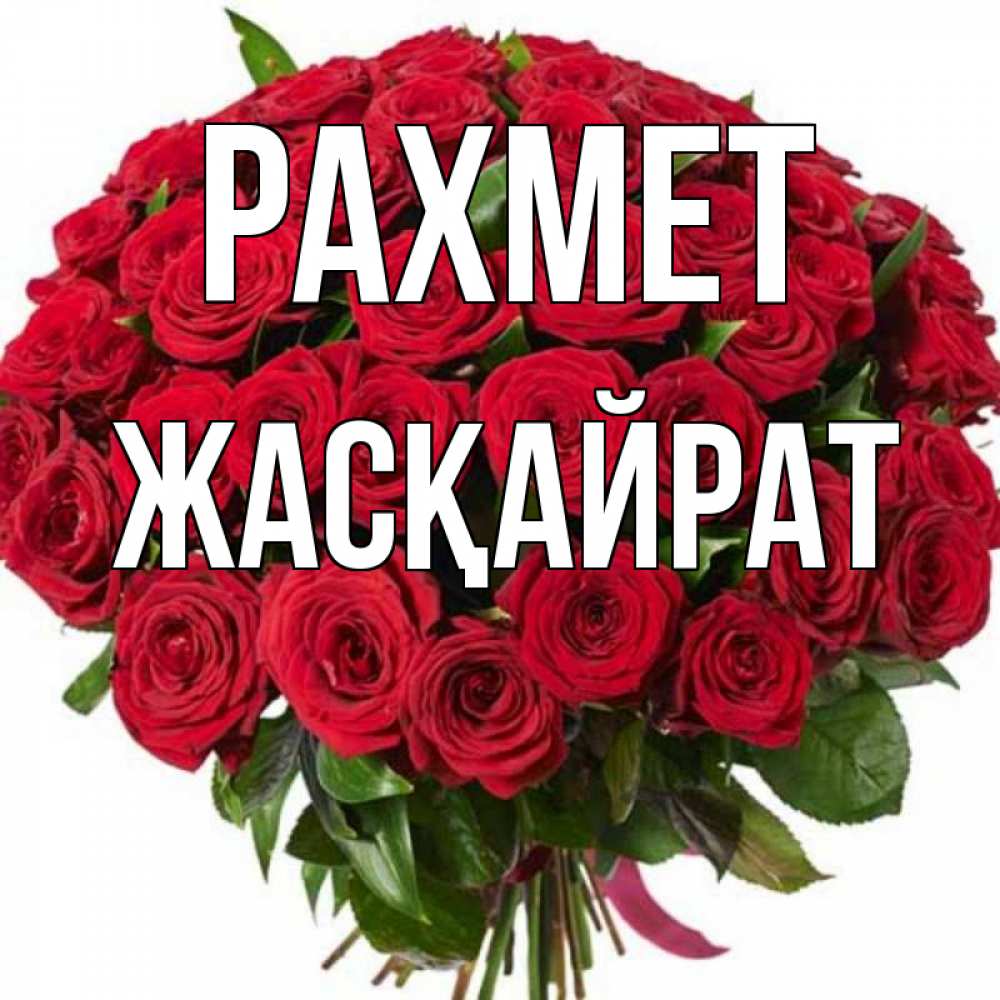 Күн сайын ашық хат с именем, Жасқайрат рахмет букет красных роз Онлайн тегін жүктеп алу тілектері бар керемет карта 