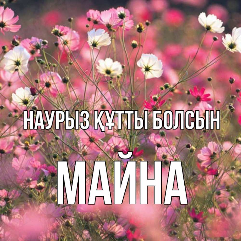 Күн сайын ашық хат с именем, МАЙНА Наурыз құтты болсын красиво 1 Онлайн тегін жүктеп алу тілектері бар керемет карта 