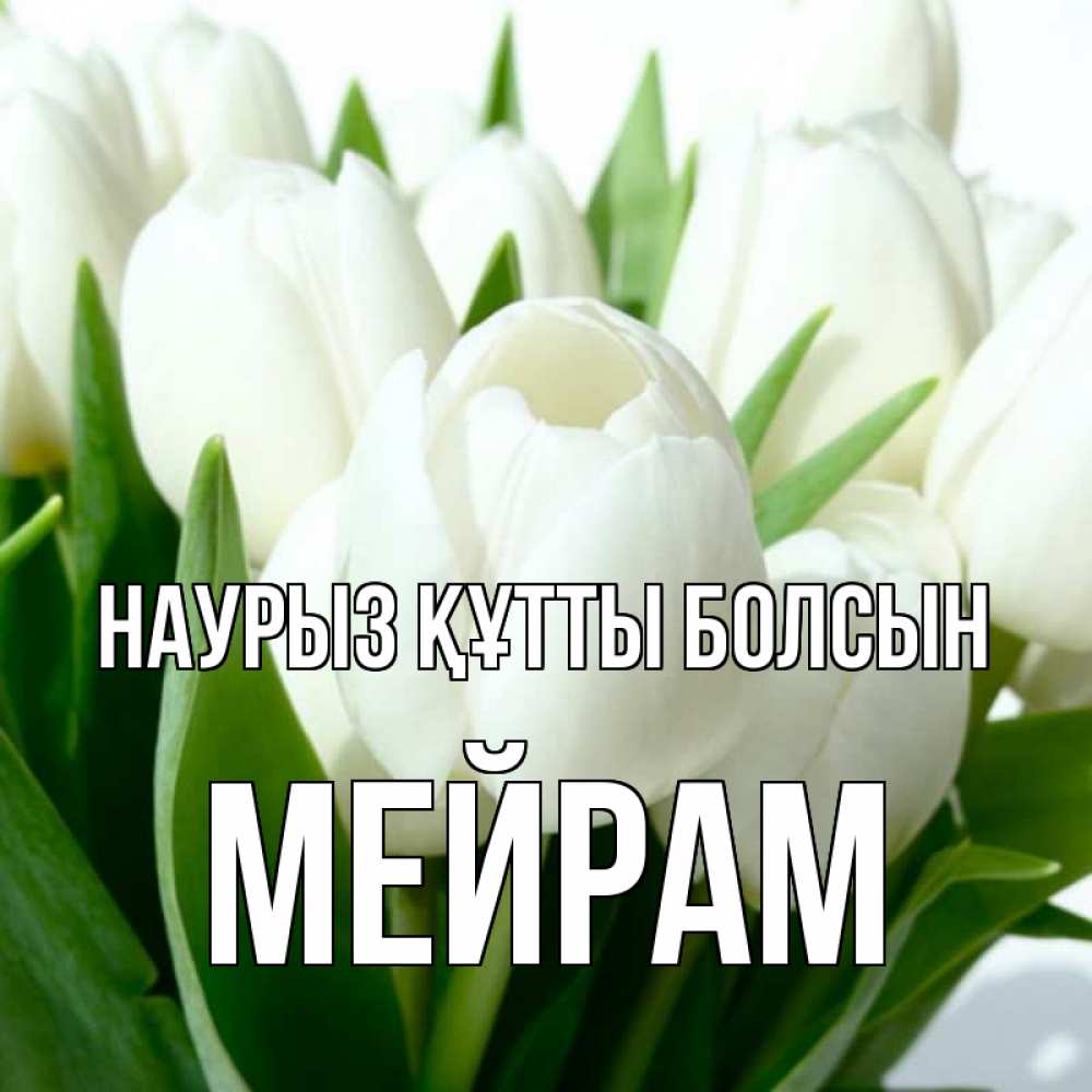 Күн сайын ашық хат с именем, МЕЙРАМ Наурыз құтты болсын цветы Онлайн тегін жүктеп алу тілектері бар керемет карта 