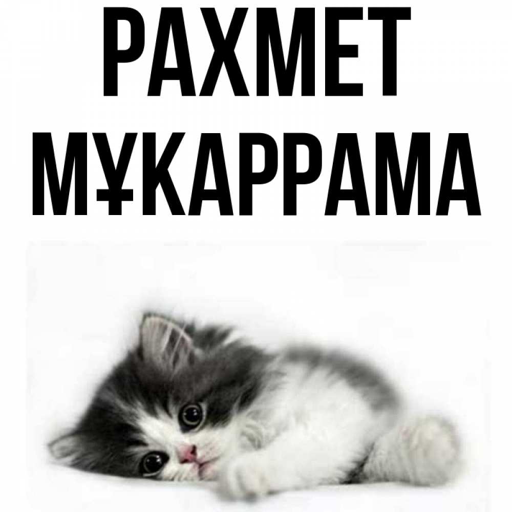 Күн сайын ашық хат с именем, МҰКАРРАМА рахмет черный и белый кот Онлайн тегін жүктеп алу тілектері бар керемет карта 
