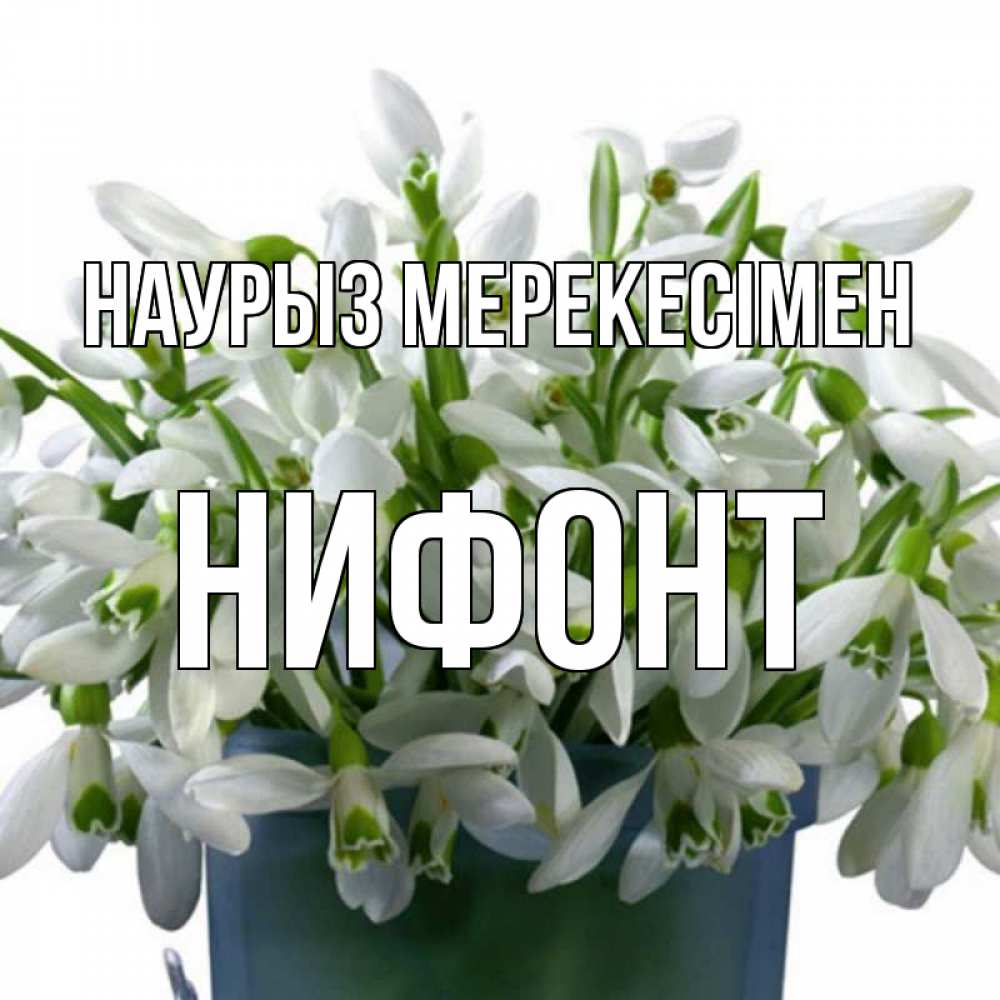 Күн сайын ашық хат с именем, Нифонт Наурыз мерекесімен цветы к наурызу новый год в Казахстане Онлайн тегін жүктеп алу тілектері бар керемет карта 