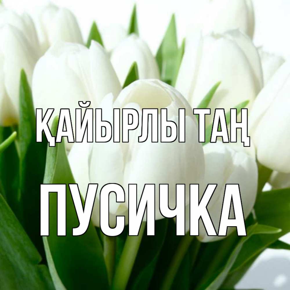 Күн сайын ашық хат с именем, Пусичка Қайырлы таң открытки на каждый день по именам Онлайн тегін жүктеп алу тілектері бар керемет карта 