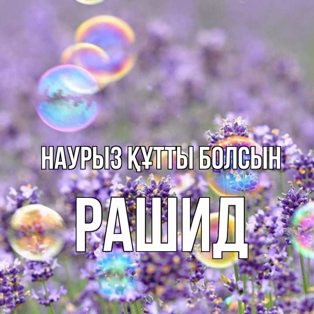 Күн сайын ашық хат с именем, Рашид Наурыз құтты болсын цветы Онлайн тегін жүктеп алу тілектері бар керемет карта 