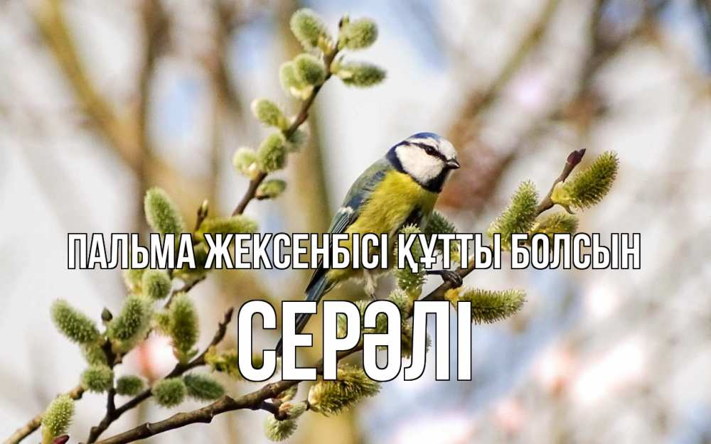 Күн сайын ашық хат с именем, СЕРӘЛІ Пальма жексенбісі құтты болсын верба Онлайн тегін жүктеп алу тілектері бар керемет карта 
