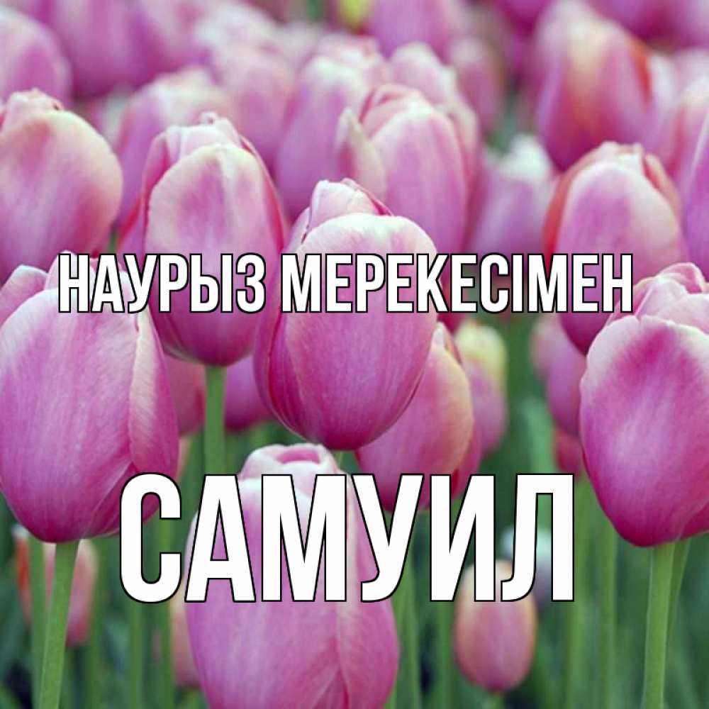 Күн сайын ашық хат с именем, Самуил Наурыз мерекесімен праздник весны наурыз 69 Онлайн тегін жүктеп алу тілектері бар керемет карта 