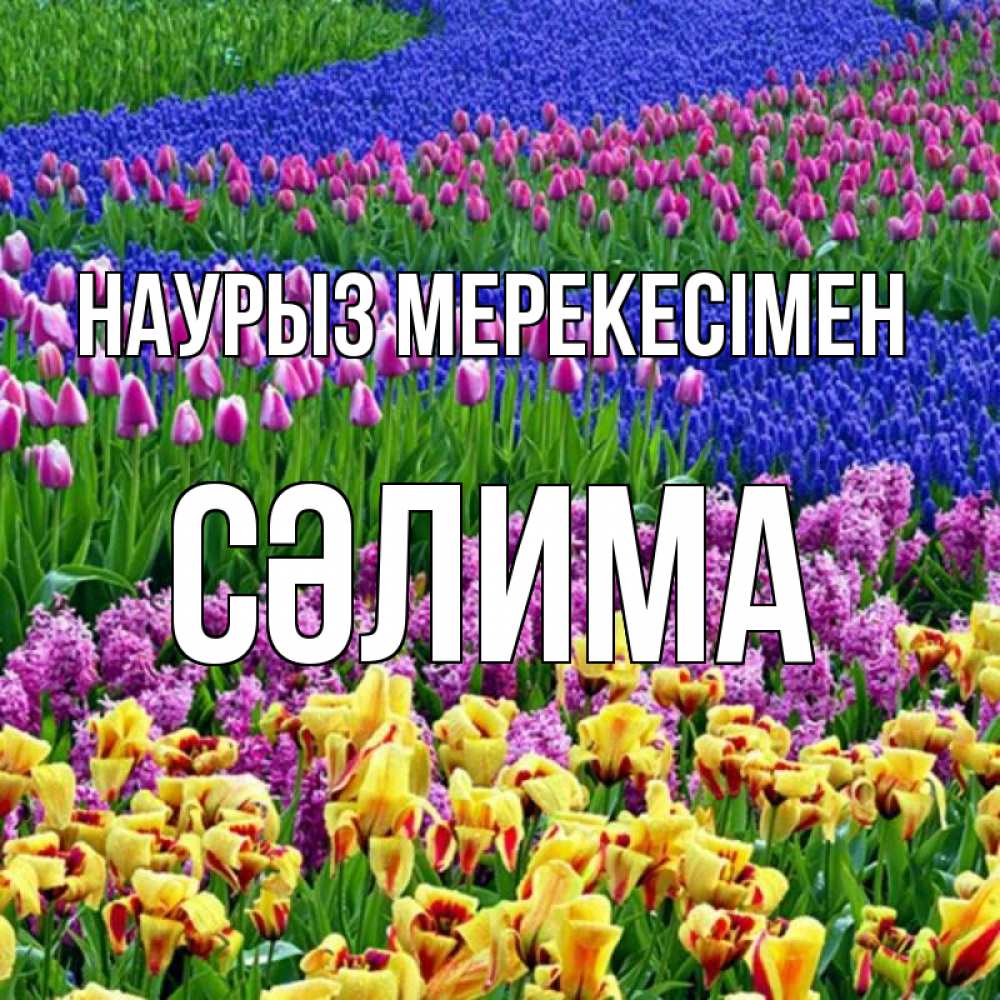 Күн сайын ашық хат с именем, СӘЛИМА Наурыз мерекесімен цветы Онлайн тегін жүктеп алу тілектері бар керемет карта 