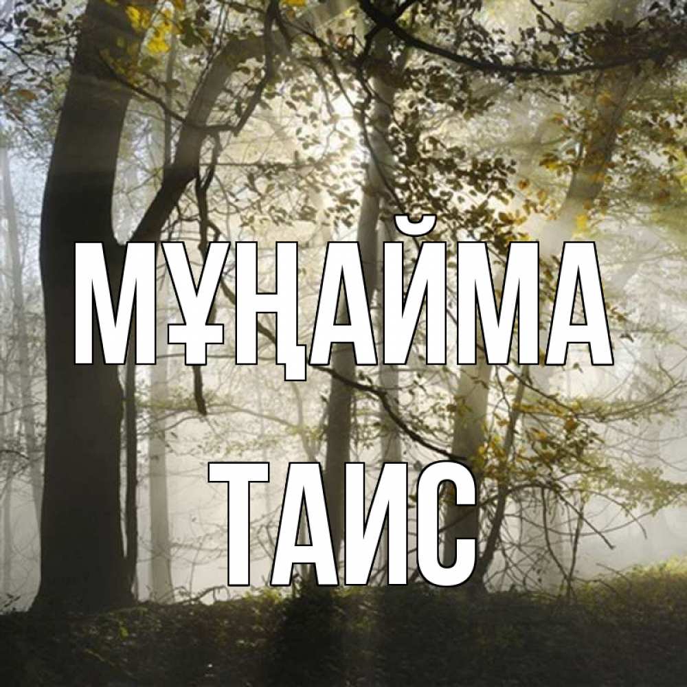 Күн сайын ашық хат с именем, Таис Мұңайма лес и свет Онлайн тегін жүктеп алу тілектері бар керемет карта 