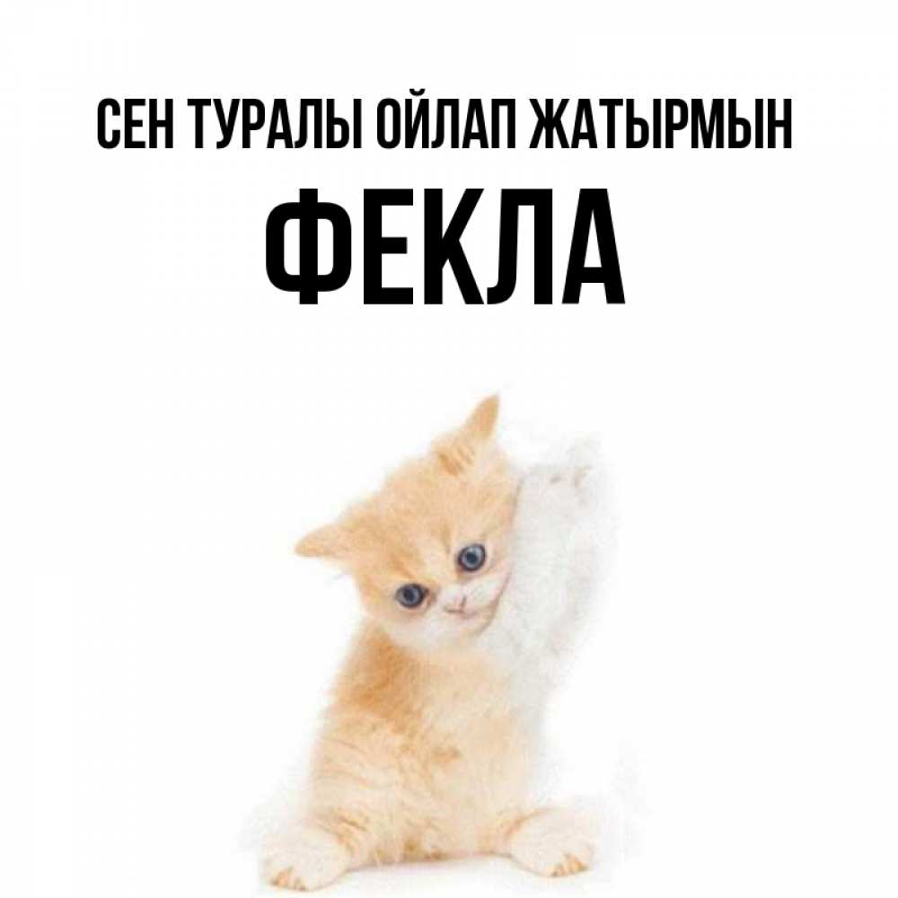 Күн сайын ашық хат с именем, Фекла Сен туралы ойлап жатырмын зверушки и милота Онлайн тегін жүктеп алу тілектері бар керемет карта 