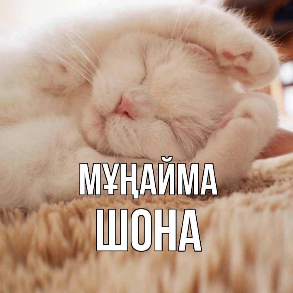 Күн сайын ашық хат с именем, ШОНА Мұңайма белый кот Онлайн тегін жүктеп алу тілектері бар керемет карта 