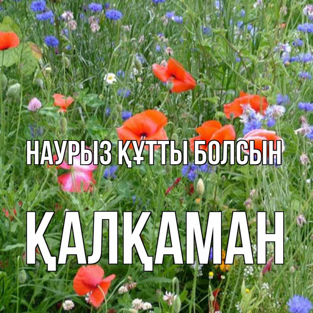 Күн сайын ашық хат с именем, Қалқаман Наурыз құтты болсын наурыз  4 Онлайн тегін жүктеп алу тілектері бар керемет карта 
