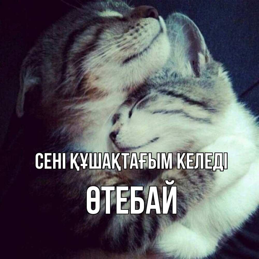 Күн сайын ашық хат с именем, ӨТЕБАЙ сені құшақтағым келеді полосатики Онлайн тегін жүктеп алу тілектері бар керемет карта 