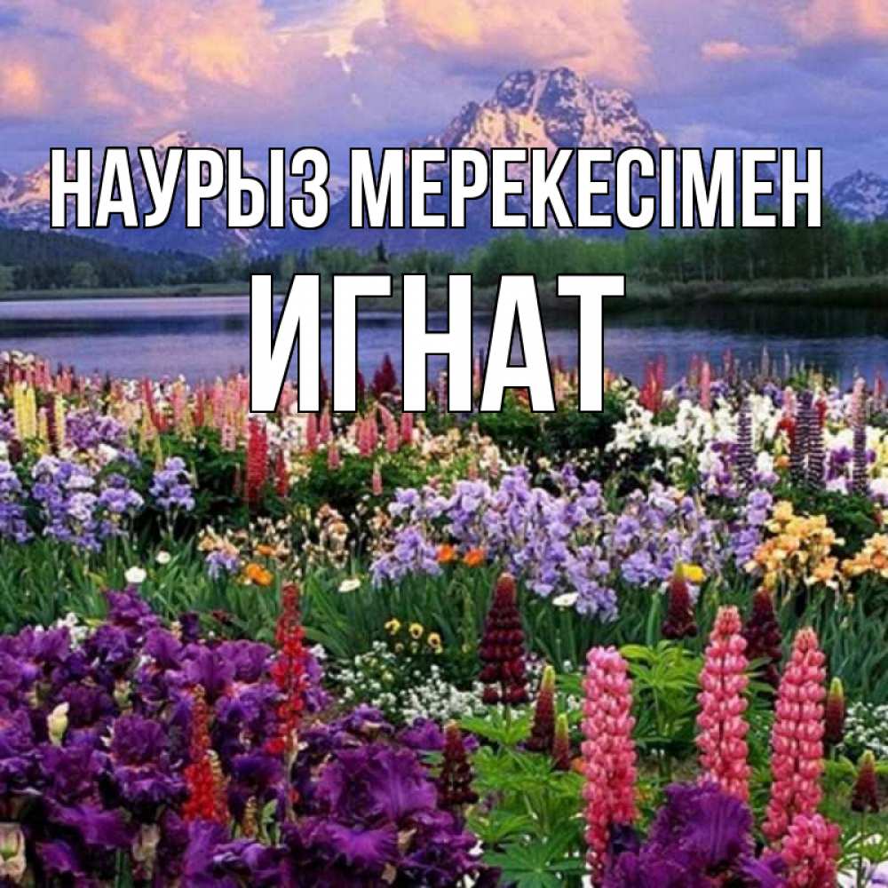 Күн сайын ашық хат с именем, Игнат Наурыз мерекесімен праздник весны наурыз Онлайн тегін жүктеп алу тілектері бар керемет карта 
