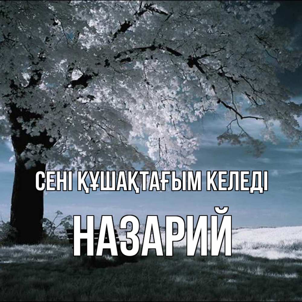 Күн сайын ашық хат с именем, Назарий сені құшақтағым келеді дерево Онлайн тегін жүктеп алу тілектері бар керемет карта 