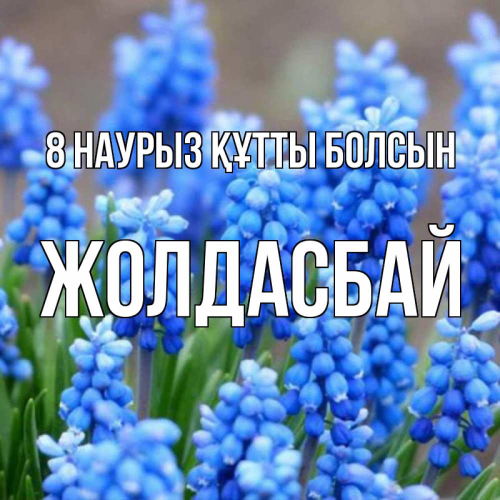 Күн сайын ашық хат с именем, Жолдасбай 8 наурыз құтты болсын Поздравительная открытка для женщин с цветами на праздничную дату Онлайн тегін жүктеп алу тілектері бар керемет карта 