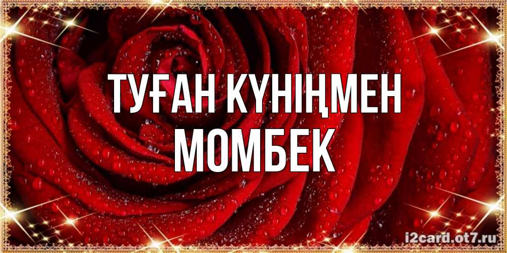 Күн сайын ашық хат с именем, МОМБЕК Туған күніңмен роса на розе блестящая в лучах солнца Онлайн тегін жүктеп алу тілектері бар керемет карта 