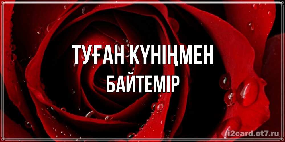 Күн сайын ашық хат с именем, Байтемір Туған күніңмен крупная бордовая роза Онлайн тегін жүктеп алу тілектері бар керемет карта 