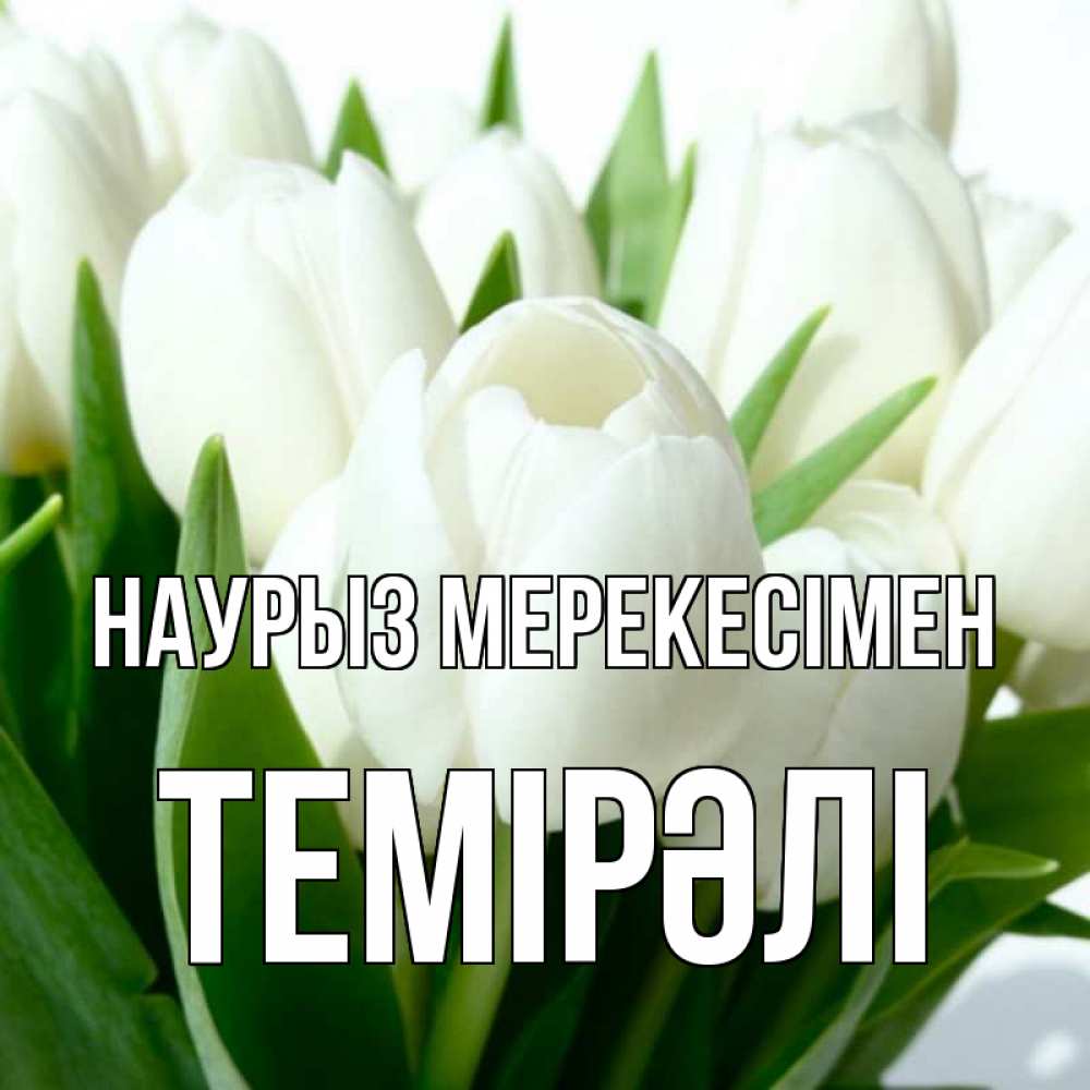 Күн сайын ашық хат с именем, ТЕМІРӘЛІ Наурыз мерекесімен цветы Онлайн тегін жүктеп алу тілектері бар керемет карта 