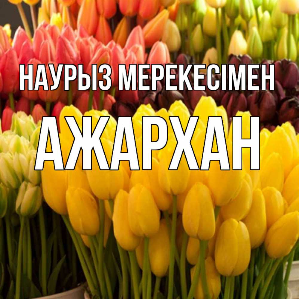 Күн сайын ашық хат с именем, АЖАРХАН Наурыз мерекесімен цветы Онлайн тегін жүктеп алу тілектері бар керемет карта 