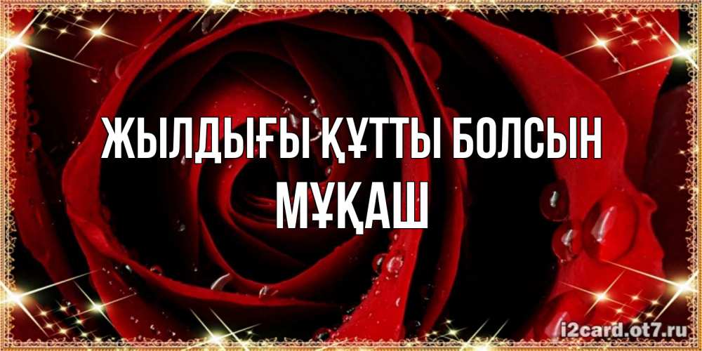 Күн сайын ашық хат с именем, Мұқаш Жылдығы құтты болсын цветок в росе на день рождения Онлайн тегін жүктеп алу тілектері бар керемет карта 