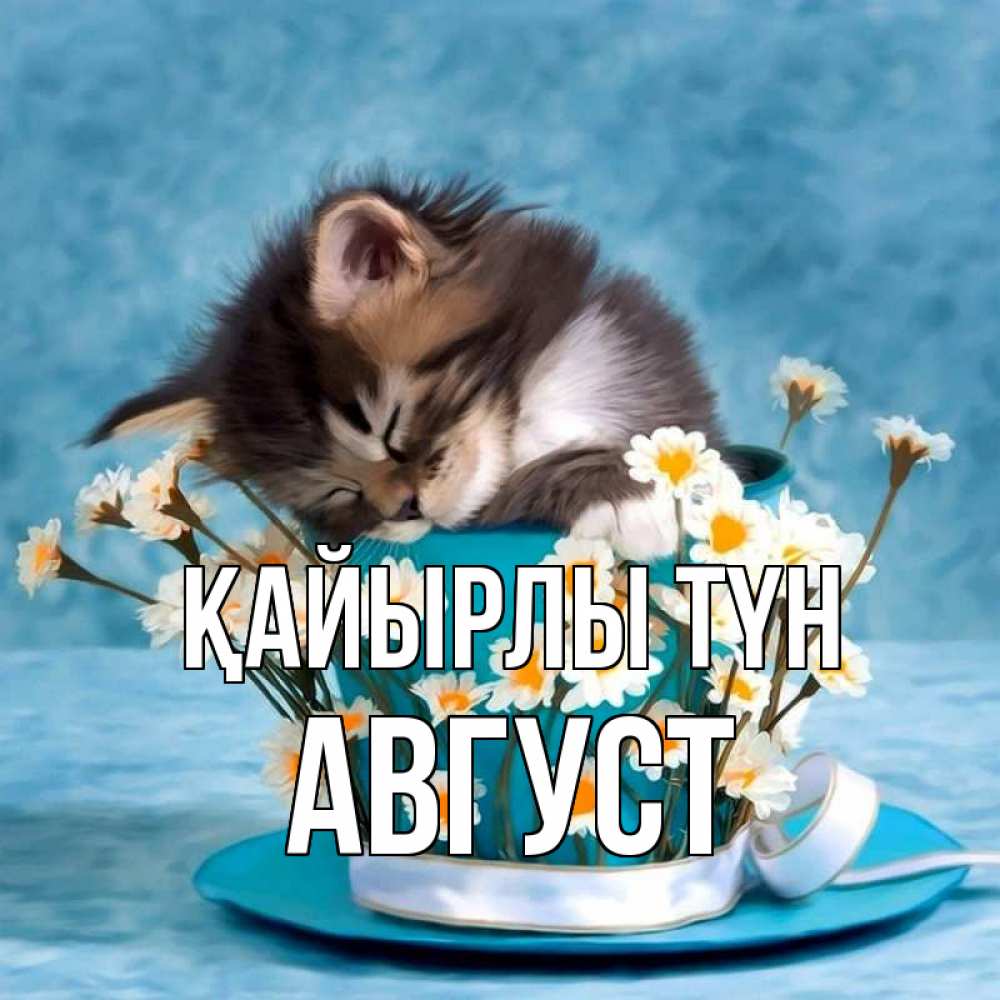 Күн сайын ашық хат с именем, Август Қайырлы түн котенок спит в кружке с блюдцем Онлайн тегін жүктеп алу тілектері бар керемет карта 